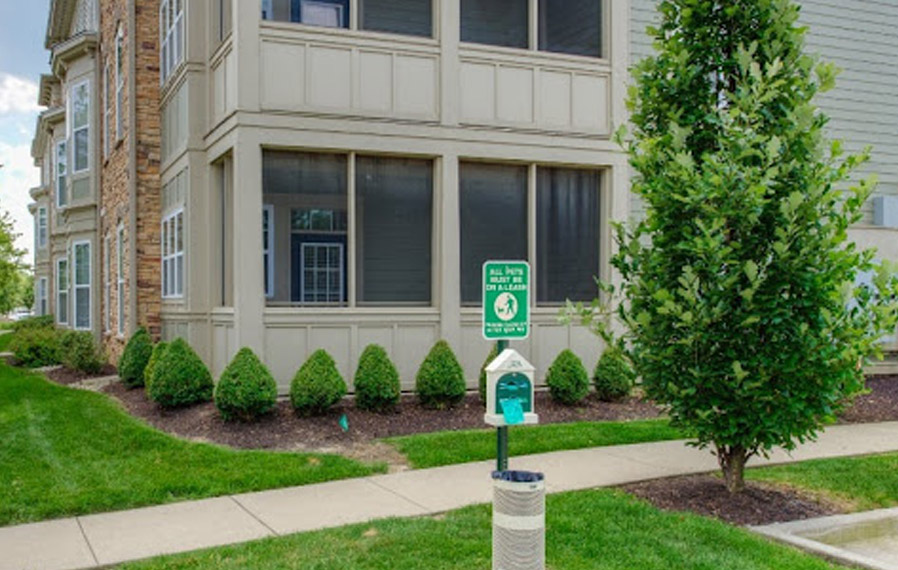 Dog park at Westfield apartments.