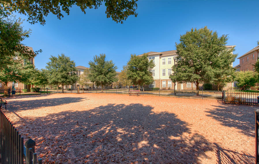 Wide open dog park at Westfield apartments.