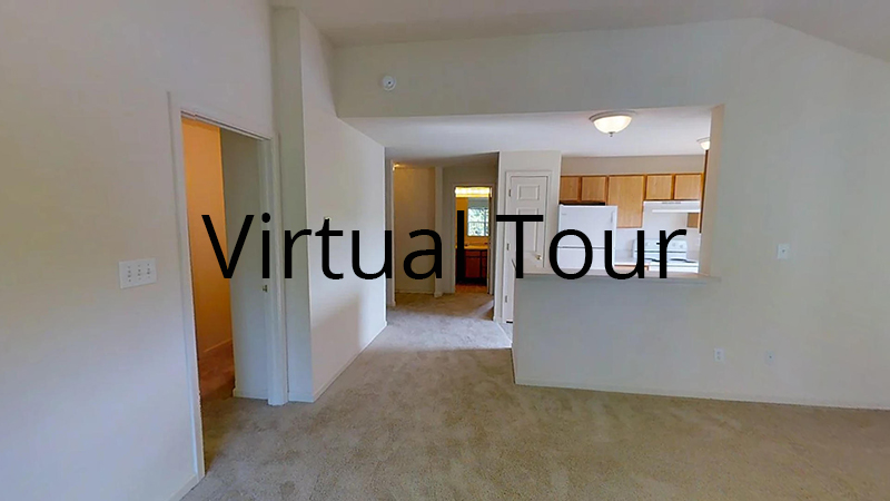 Ashley River virtual tour